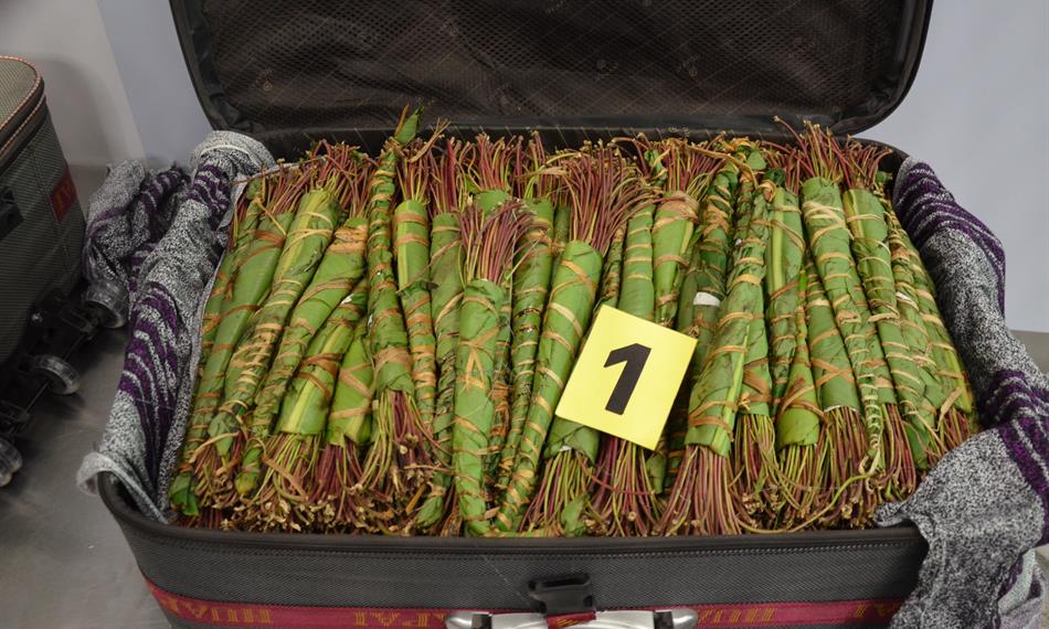 2014-10-20-90foro khat 4.jpg